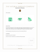 0.55 Ct. Emerald from Zambia Appraisal