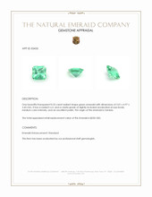 0.55 Ct. Emerald from Zambia Appraisal