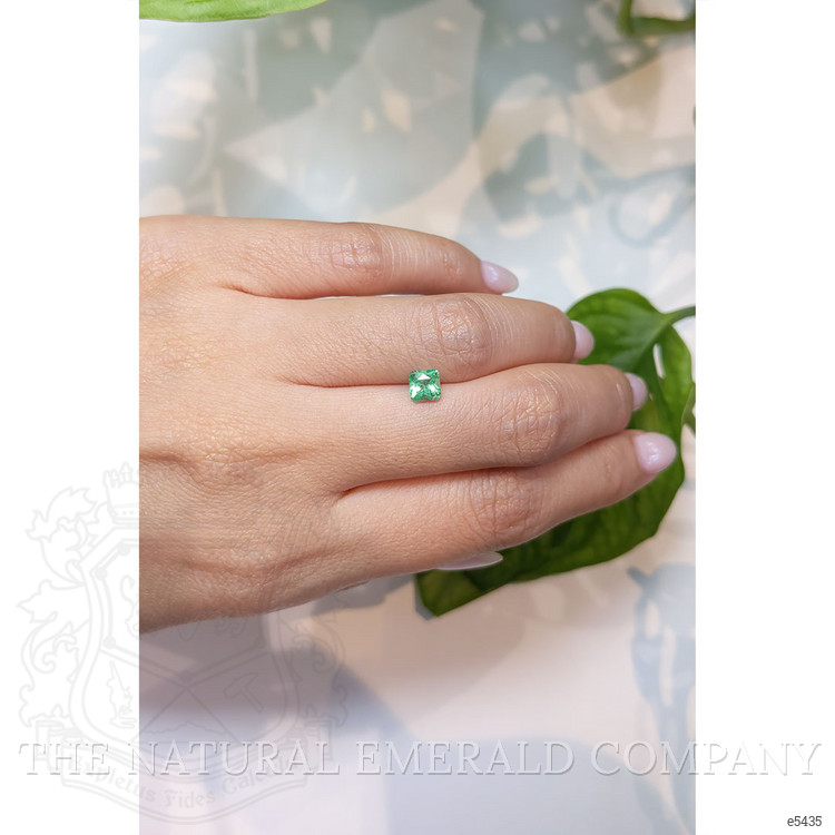 0.55 Ct. Emerald from Zambia