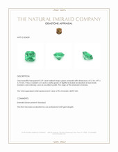 0.59 Ct. Emerald from Zambia Appraisal