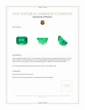 0.63 Ct. Emerald from Zambia Appraisal
