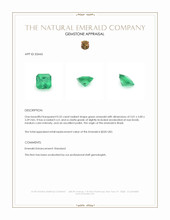 0.52 Ct. Emerald from Brazil Appraisal