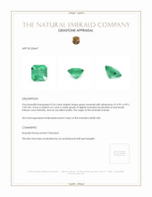 0.54 Ct. Emerald from Brazil Appraisal