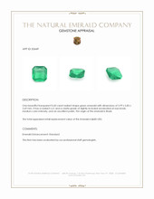 0.60 Ct. Emerald from Brazil Appraisal