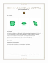 0.69 Ct. Emerald from Brazil Appraisal