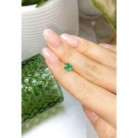0.69 Ct. Emerald from Brazil Life Style