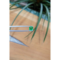 0.78 Ct. Emerald from Brazil Life Style