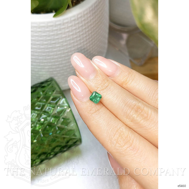 0.84 Ct. Emerald from Brazil