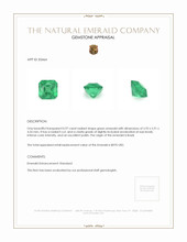 0.97 Ct. Emerald from Brazil Appraisal
