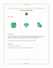 1.01 Ct. Emerald from Brazil Appraisal