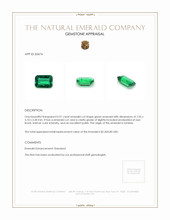 0.91 Ct. Emerald from Zambia Appraisal