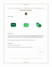 1.28 Ct. Emerald from Zambia Appraisal