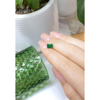 1.41 Ct. Emerald from Zambia Life Style