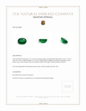 1.12 Ct. Emerald from Zambia Appraisal