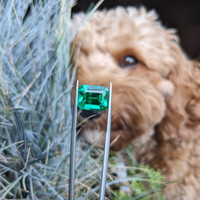 5.84 Ct. Emerald from Colombia Life Style