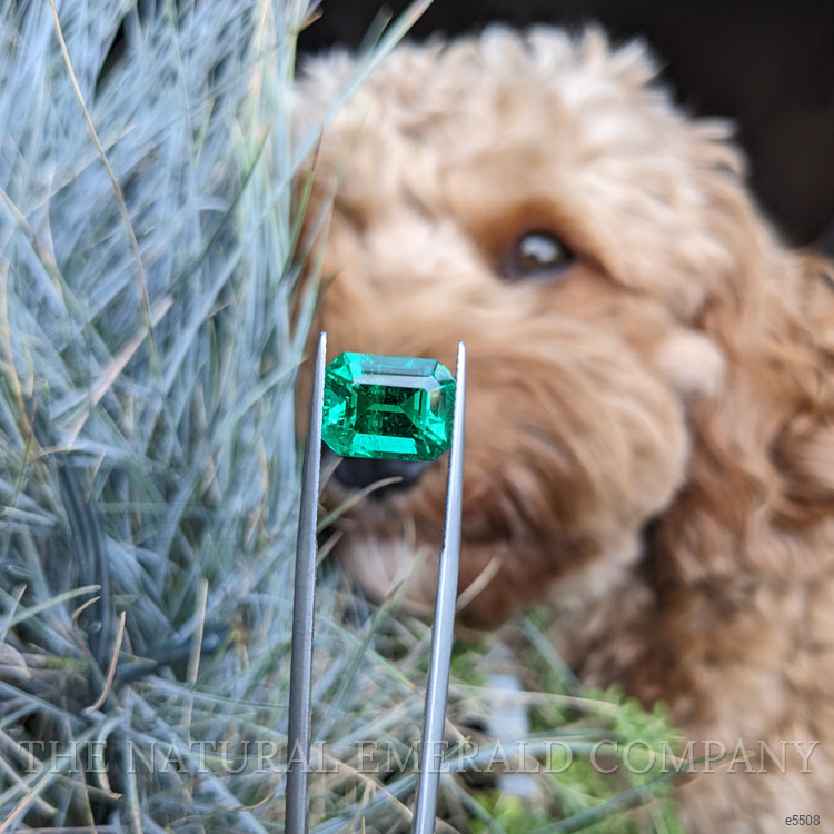 5.84 Ct. Emerald from Colombia