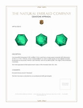 20.36 Ct. Emerald from Colombia Appraisal