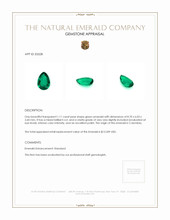 1.11 Ct. Emerald from Colombia Appraisal
