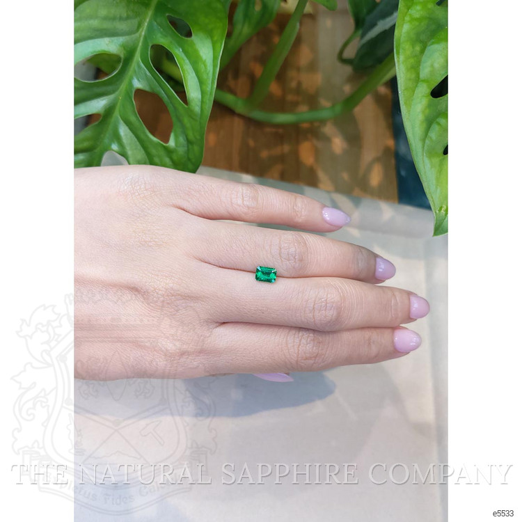 0.65 Ct. Emerald from Colombia