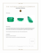 0.60 Ct. Emerald from Zambia Appraisal