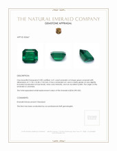 6.01 Ct. Emerald from Colombia Appraisal