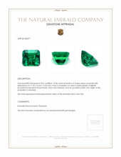 22.86 Ct. Emerald from Colombia Appraisal