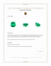 0.41 Ct. Emerald from Colombia Appraisal