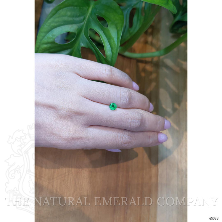 0.41 Ct. Emerald from Colombia