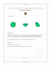 0.64 Ct. Emerald from Colombia Appraisal