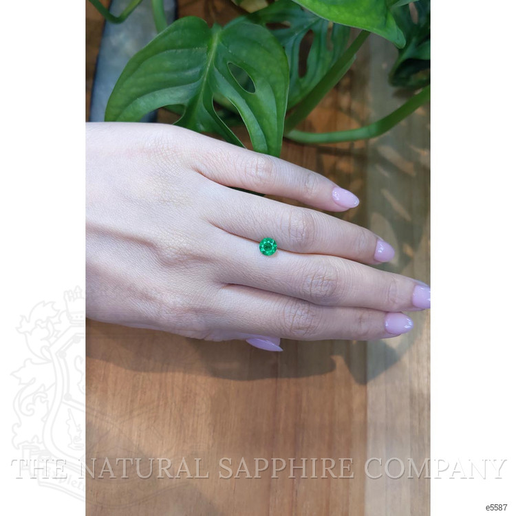 0.45 Ct. Emerald from Colombia