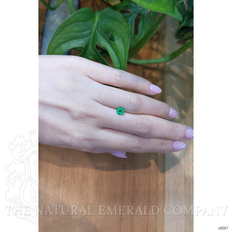 0.45 Ct. Emerald from Colombia