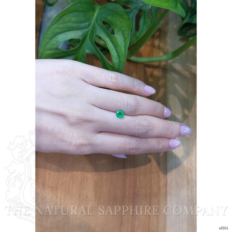 0.57 Ct. Emerald from Colombia