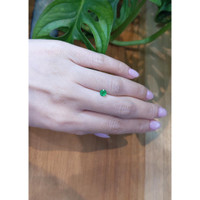 0.42 Ct. Emerald from Colombia Life Style