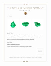 1.01 Ct. Emerald from Zambia Appraisal