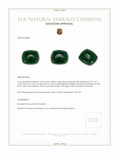 16.28 Ct. Emerald from Colombia Appraisal