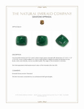 9.37 Ct. Emerald from Colombia Appraisal