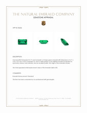 0.19 Ct. Emerald from Russia Appraisal