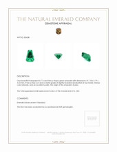 0.71 Ct. Emerald from Russia Appraisal