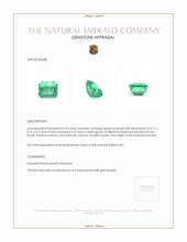 0.95 Ct. Emerald from Russia Appraisal