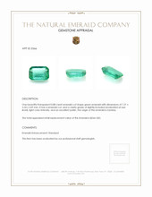 0.88 Ct. Emerald from Zambia Appraisal