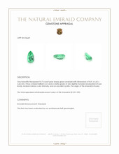 0.73 Ct. Emerald from Russia Appraisal