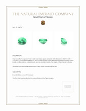 0.53 Ct. Emerald from Russia Appraisal
