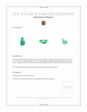 0.50 Ct. Emerald from Russia Appraisal