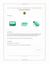 0.88 Ct. Emerald from Zambia Appraisal