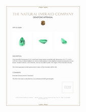 0.55 Ct. Emerald from Russia Appraisal