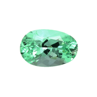 0.67 Ct. Emerald from Russia Video