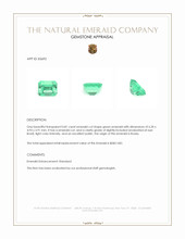 0.81 Ct. Emerald from Russia Appraisal