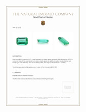 0.71 Ct. Emerald from Zambia Appraisal