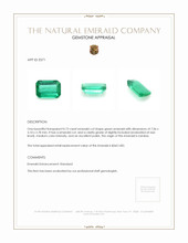 0.73 Ct. Emerald from Zambia Appraisal
