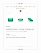 0.68 Ct. Emerald from Zambia Appraisal